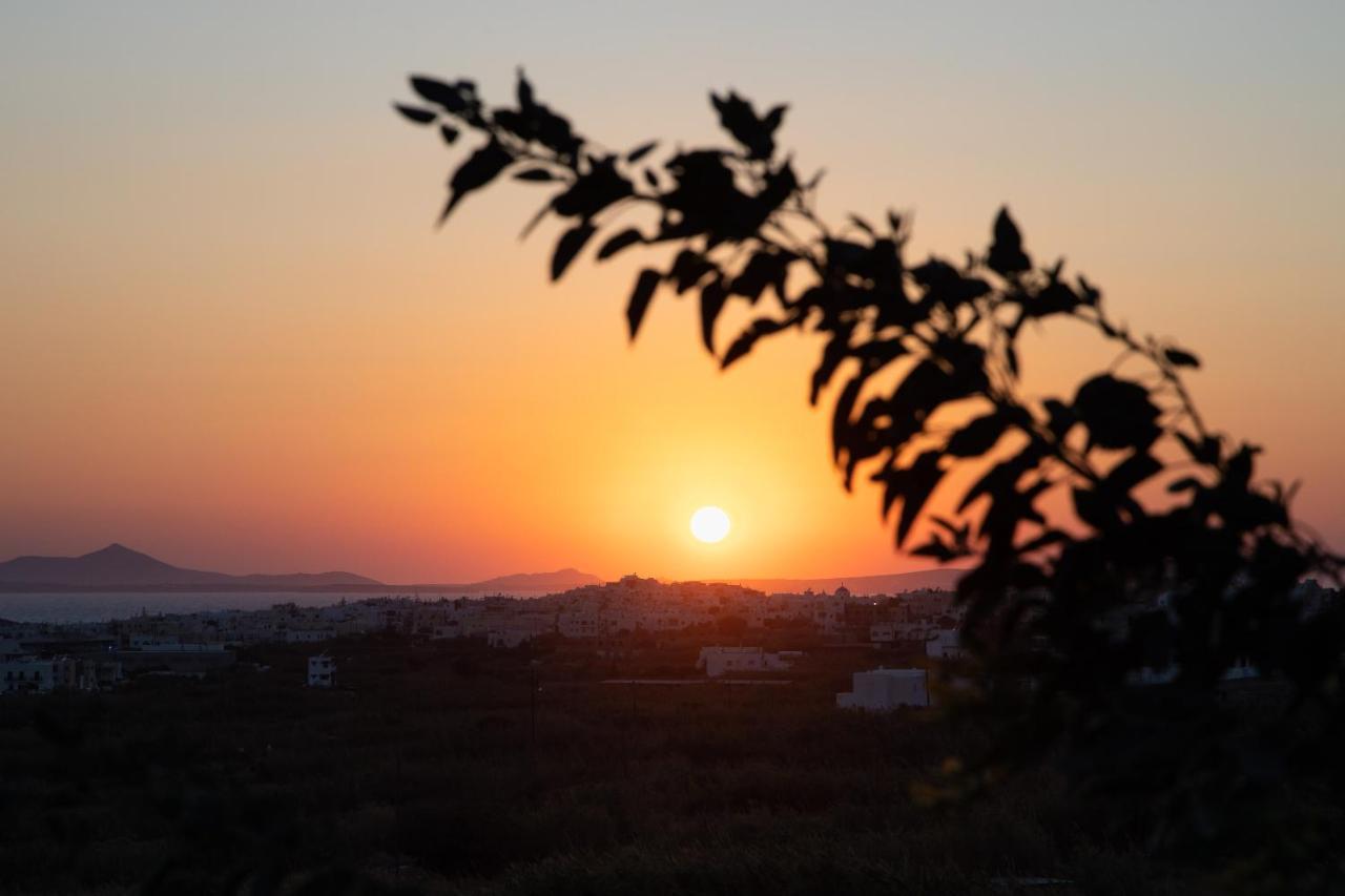 Flora (adults Only) Hotel Naxos City