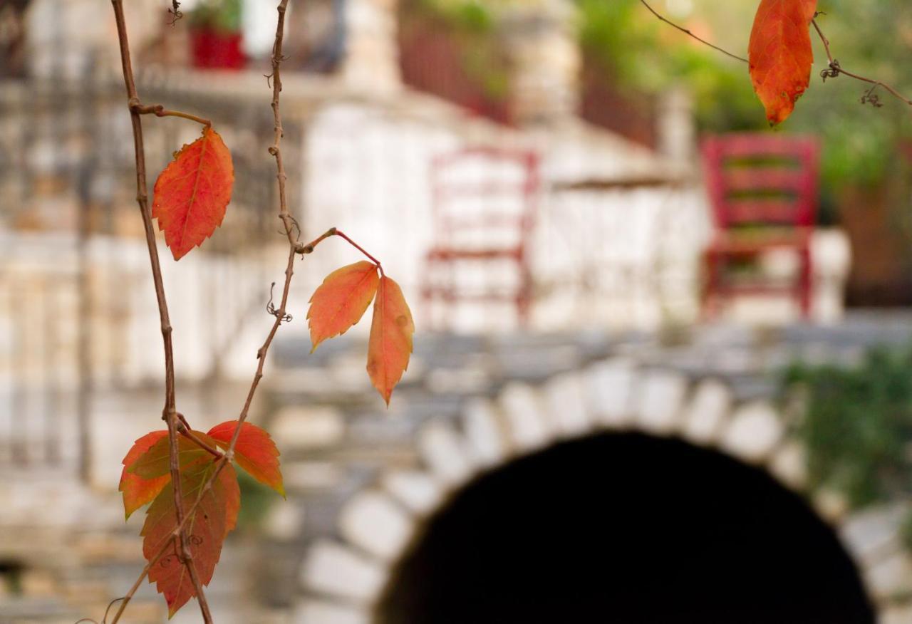 Flora (adults Only) מלון Naxos City